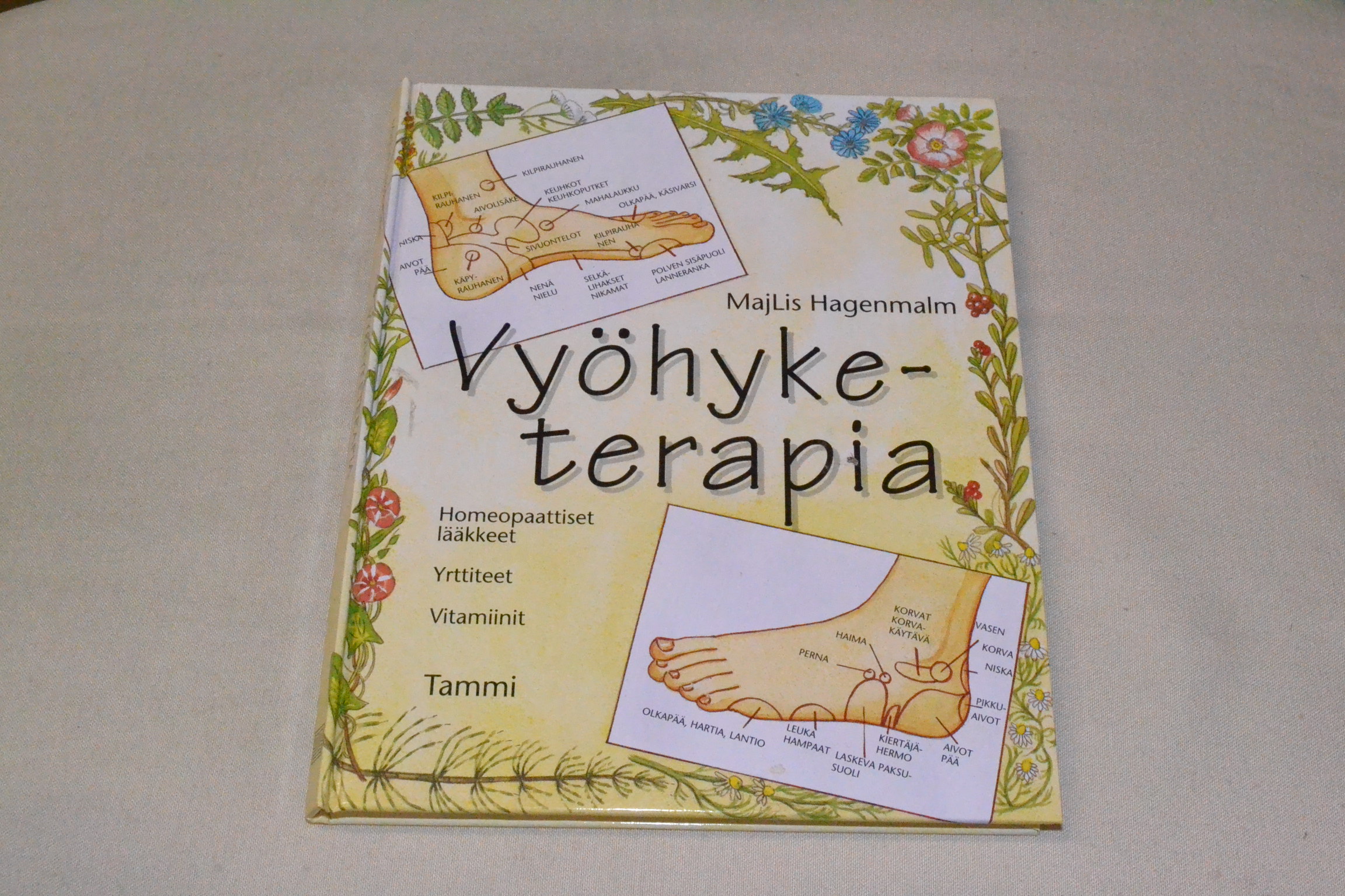 majlis-hagenmalm-vy-hyketerapia